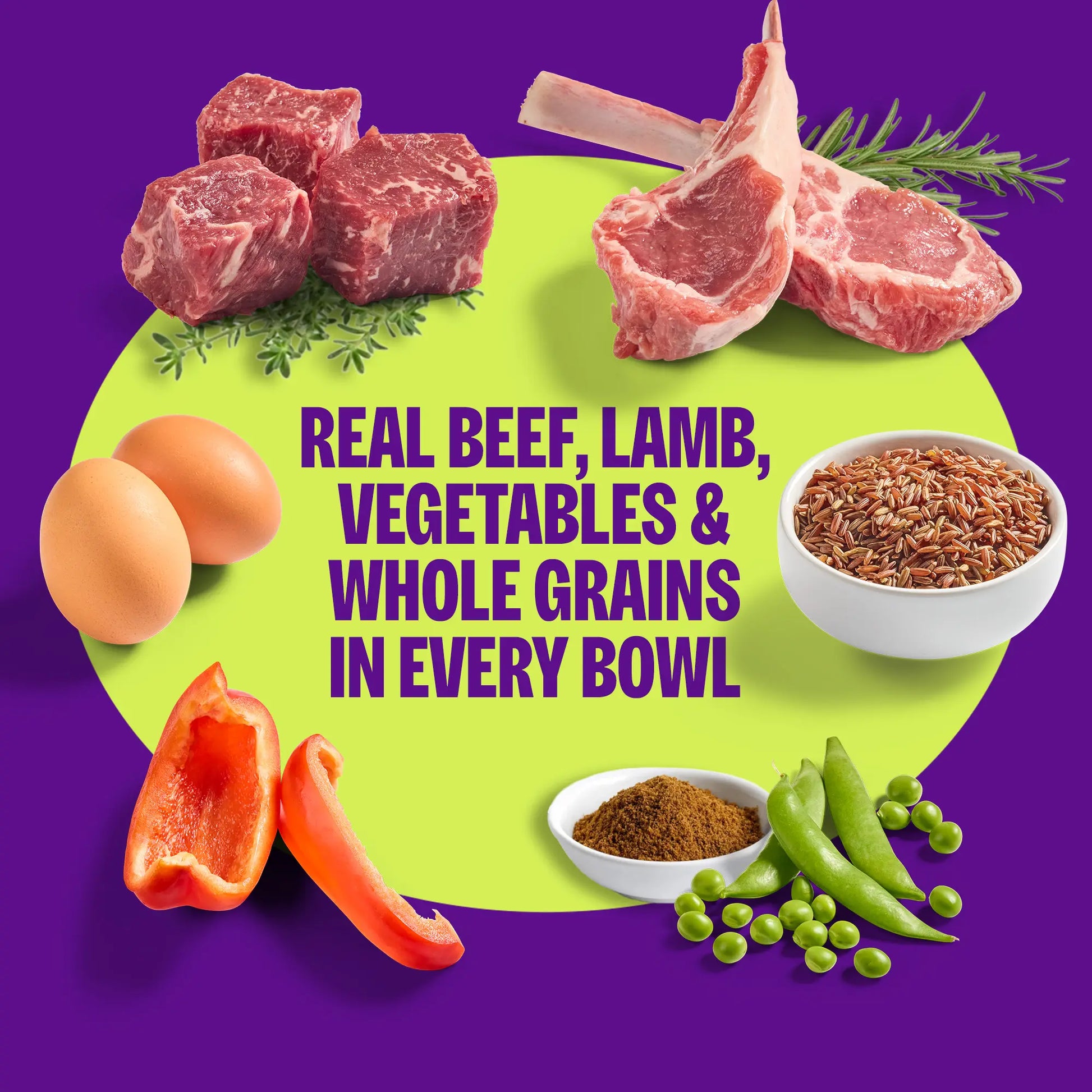 Wellness Protein Bowls, Adult Fresh Alternative Dog Food, Wholesome Grains, 6.2 Ounce Pouch, 6 Pack, (Beef & Lamb Value Pack)
