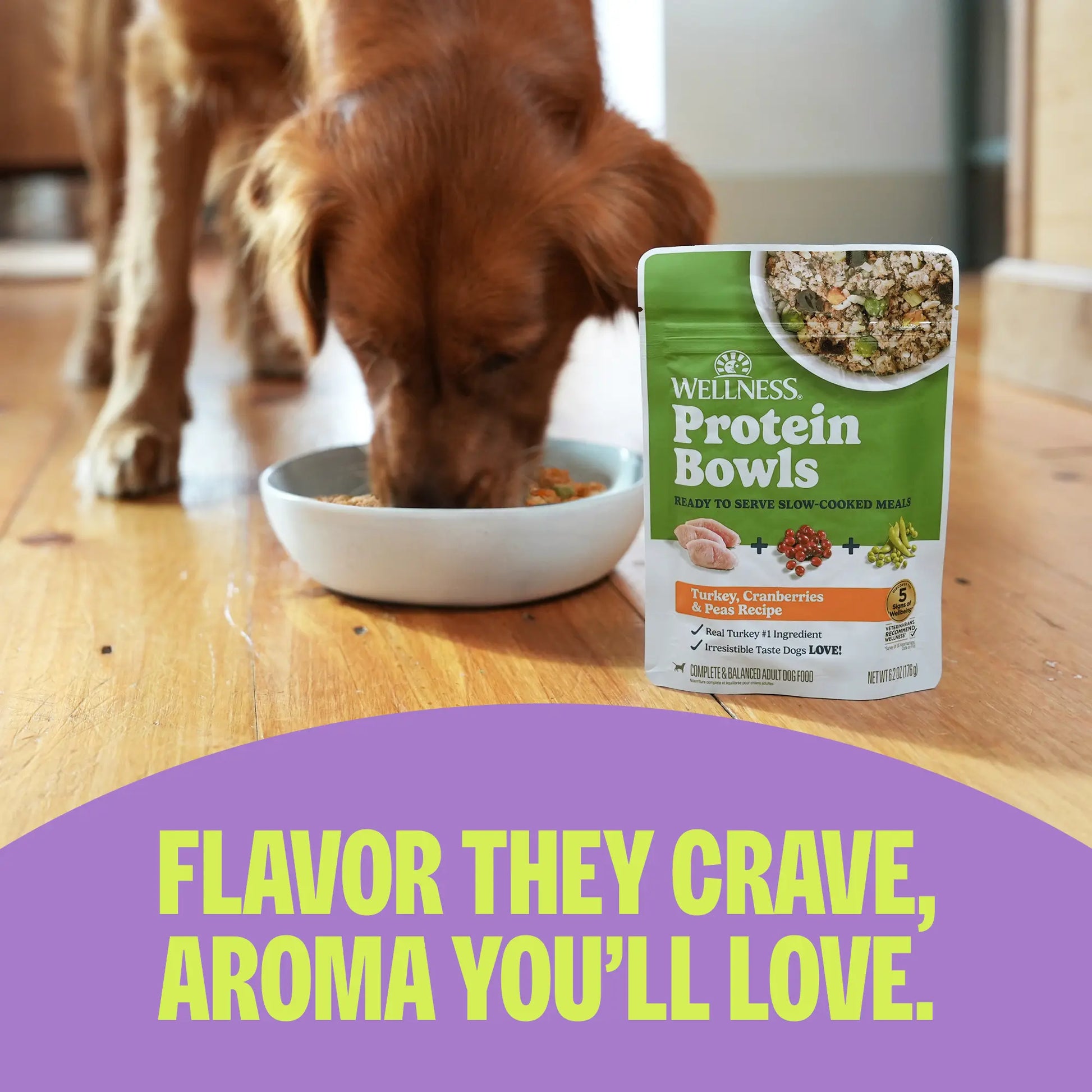 Wellness Protein Bowls, Adult Fresh Alternative Dog Food, Wholesome Grains, 6.2 Ounce Pouch, 6 Pack, (Beef & Lamb Value Pack)