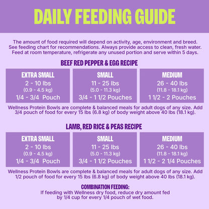 Wellness Protein Bowls, Adult Fresh Alternative Dog Food, Wholesome Grains, 6.2 Ounce Pouch, 6 Pack, (Beef & Lamb Value Pack)